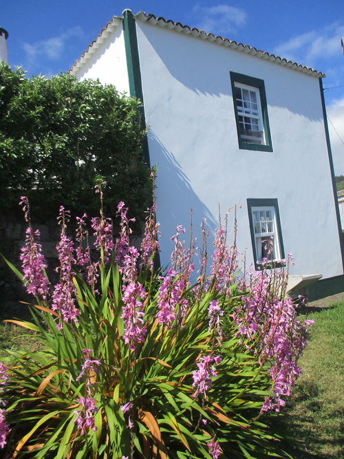 my house in Malbusca