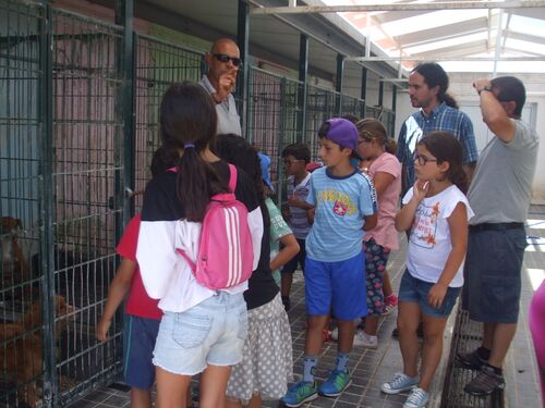 Children visiting Santa Maria pet adoption center