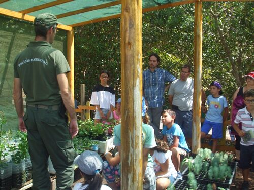 Forest guard showing his greenhouse to children